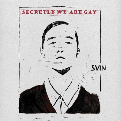 Cover of Secretly We Are Gay
